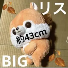 リスぬいぐるみ