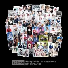 【102枚】Stray kids スキズ シールステッカー　フレークシール