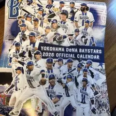 横浜DeNAベイスターズ 2026カレンダー 壁掛け【新品】