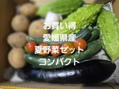 愛媛県産 採れたて夏野菜詰め合わせセットのサムネイル