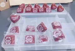 うたプリ　リングライト　蘭丸　プリライ　4th／5th