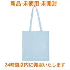 Snow Man Dome Tour 2024 RAYS 軽めのバッグ