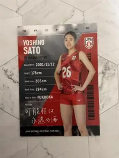 佐藤淑乃選手 2025年 公式トレーディングカード レギュラーカード1枚