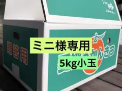 専用出品です