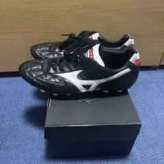 モレリア2JAPANクロスステッチ