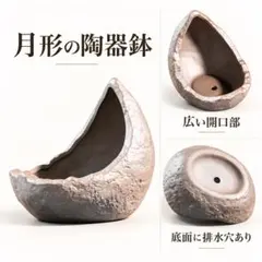盆栽鉢 苔テラリウム 陶器鉢 和風 ミニ盆栽 山野草 観葉植物 鉢のみ