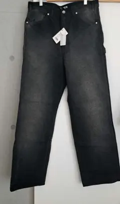 AURALEE ORGANIC COTTON DUCK PAINTERのサムネイル