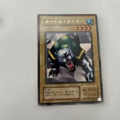 2025年最新】タートル・タイガーの人気アイテム - メルカリ