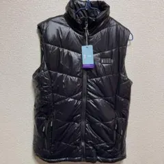 Item thumbnail for item 247483b9-0a14-447b-929e-e890ff736850