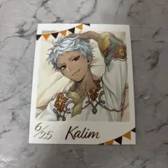 ツイステ くつろぎマイルーム フォトカ カリム