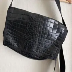 希少　THE NORTH FACE ブラックショルダーバッグ　クロコ