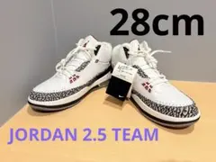 未使用タグ付き NIKEジョーダン2.5 チーム 331987-161 28cmのサムネイル
