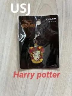 USJ ハリー・ポッター チャーム　グリフィンドール