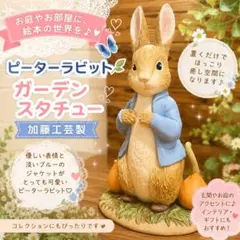 2026年最新】加藤工芸 ピーターラビットの人気アイテム - メルカリ