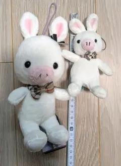 美男ですね ブタウサギぬいぐるみ 2点 チャングンソク