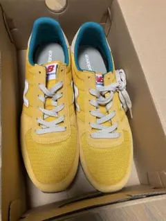 Item thumbnail for item 02a6f325-a520-4b06-aea9-f77a9b6627f2