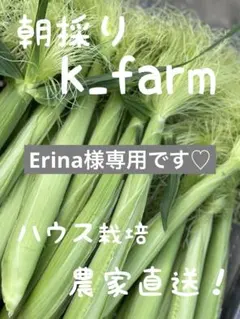 Erina様専用です♡