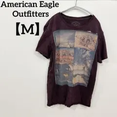 American Eagle Outfitters【M】風景プリント Tシャツ