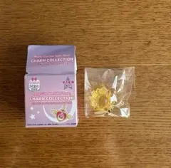 セーラームーン チャームコレクション