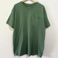 フルーツオブザルーム Tシャツ 半袖 無地 ビッグサイズ 3L 緑 綿のサムネイル