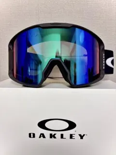 Item thumbnail for item 1810aa48-5a4e-43b8-b739-8663903cd7a4