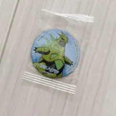 ポケモン くら寿司 マグネット テツノイバラ