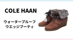 Item thumbnail for item 077ae9b6-0266-4724-9cfc-88ff70c3fbd0