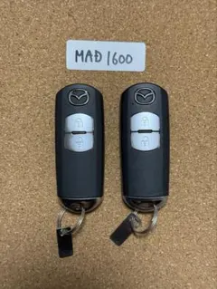 Item thumbnail for item 6f67ba76-b665-48d5-bf02-47f0e5e4c01c