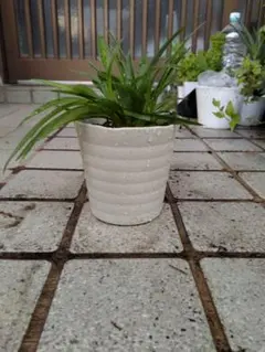 BlackRock様 リクエスト 4点 まとめ商品