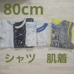 ベビー肌着　シャツ　80cm　５点セット