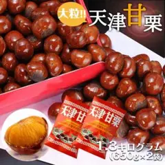 無添加 天津甘栗 大粒 1.3kg 送料無料のサムネイル