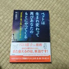 ペットは生まれ変わって再びあなたのもとにやってくる
