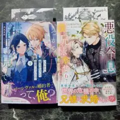 bl小説2冊セット