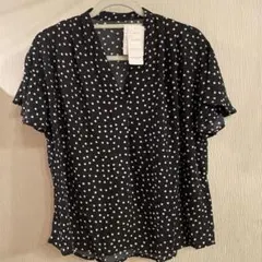 Item thumbnail for item c40f442b-a2a1-45da-b625-a17e092a7811