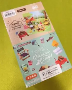 Item thumbnail for item 1ff0d453-deed-4c6b-999f-ca67ed6e4ac6