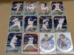 Item thumbnail for item 0d8e2859-e76f-4427-8cf7-b8af43929c50