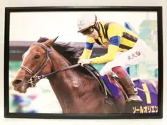競馬 ソールオリエンス パネル JRA 皐月賞