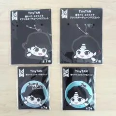 BTS TinyTANタイニータン　キーホルダー 缶バッジ グク　ジン bts