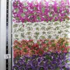 押し花素材 押し花