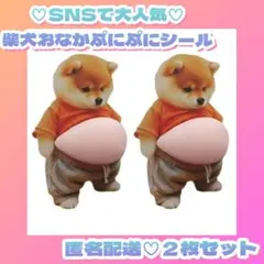 あけしゃん様 リクエスト 2点 まとめ商品