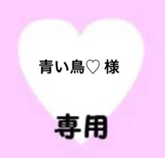 青い鳥♡様　専用