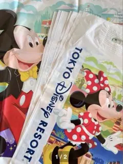 ディズニーリゾート　ショッピングバッグ　ショッパー　ディズニーランド　合計8枚