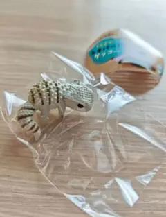 ちんまり レオパードゲッコー フトアゴ（ノーマル）