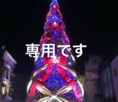 からから様 リクエスト 2点 まとめ商品