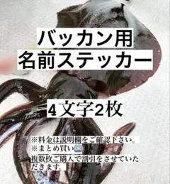 べーむべー様専用