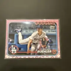 ウォーカー・ビューラー 桜柄　99シリ