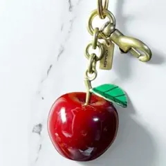 ✨美品✨COACH オールドコーチ ヴィンテージ バッグチャーム キーホルダー★ OLD COACH オールドコーチ バッグ チャーム キーホルダー