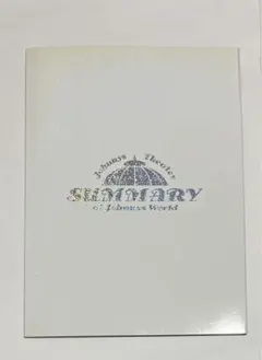 NEWS vs KAT-TUN サマリー2004 公式パンフレット