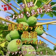 沖縄産青パパイヤおためし2kg以上！サラダや炒め物に！（検査合格食材）のサムネイル
