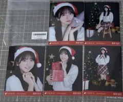 菅原咲月　生写真 乃木坂46 生写真　5種コンプ　5枚セット　クリスマス2025